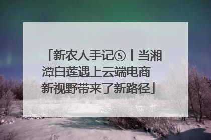 新农人手记⑤丨当湘潭白莲遇上云端电商 新视野带来了新路径