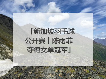 新加坡羽毛球公开赛丨陈雨菲夺得女单冠军