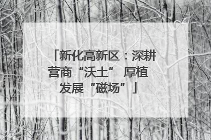 新化高新区：深耕营商“沃土” 厚植发展“磁场”