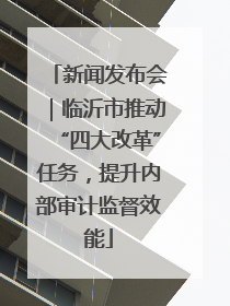 新闻发布会｜临沂市推动“四大改革”任务，提升内部审计监督效能