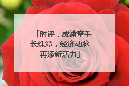 时评：成渝牵手长株潭，经济动脉再添新活力