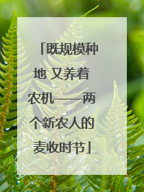 既规模种地 又养着农机——两个新农人的麦收时节