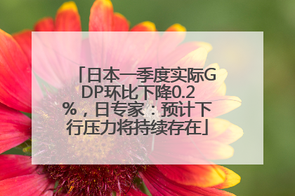 日本一季度实际GDP环比下降0.2%，日专家：预计下行压力将持续存在