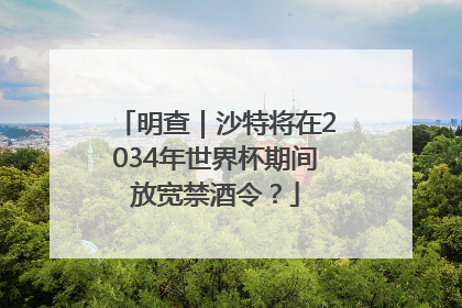 明查｜沙特将在2034年世界杯期间放宽禁酒令？