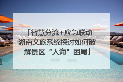 智慧分流+应急联动 湖南文旅系统探讨如何破解景区“人海”困局