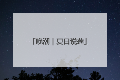 晚潮｜夏日说莲