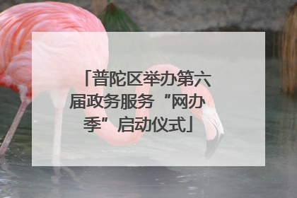 普陀区举办第六届政务服务“网办季”启动仪式