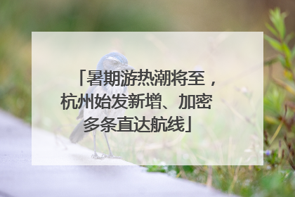 暑期游热潮将至，杭州始发新增、加密多条直达航线