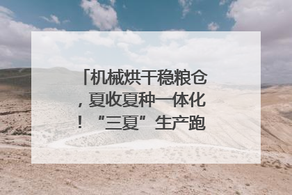 机械烘干稳粮仓，夏收夏种一体化！“三夏”生产跑出加速度｜麦报