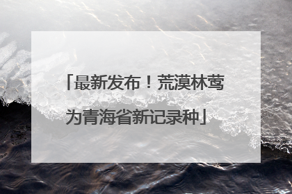 最新发布！荒漠林莺为青海省新记录种
