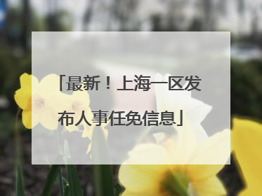 最新！上海一区发布人事任免信息