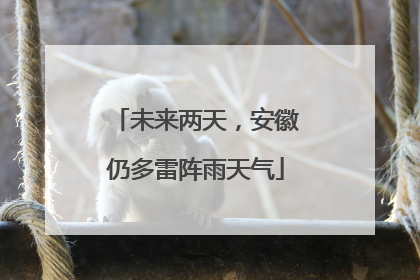 未来两天，安徽仍多雷阵雨天气