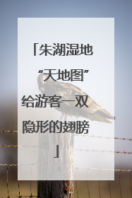 朱湖湿地“天地图”给游客一双隐形的翅膀