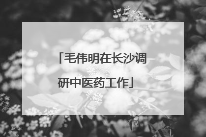 毛伟明在长沙调研中医药工作