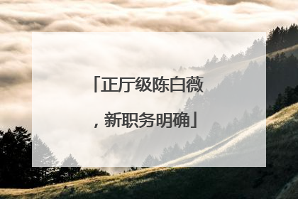 正厅级陈白薇，新职务明确