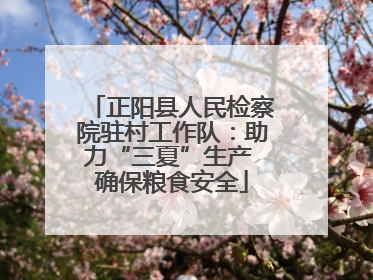 正阳县人民检察院驻村工作队：助力“三夏”生产 确保粮食安全