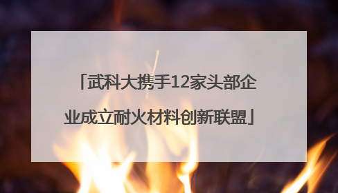 武科大携手12家头部企业成立耐火材料创新联盟