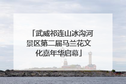 武威祁连山冰沟河景区第二届马兰花文化嘉年华启幕