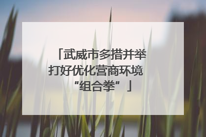武威市多措并举打好优化营商环境“组合拳”