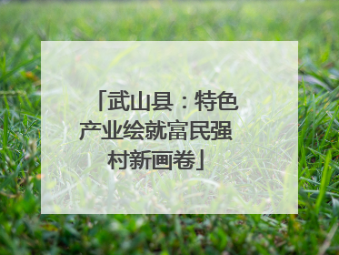 武山县：特色产业绘就富民强村新画卷