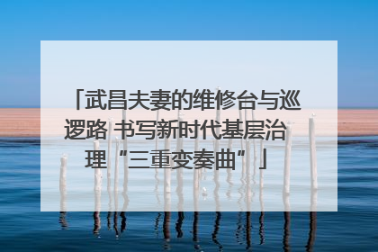 武昌夫妻的维修台与巡逻路 书写新时代基层治理“三重变奏曲”