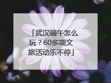 武汉端午怎么玩？60多项文旅活动乐不停