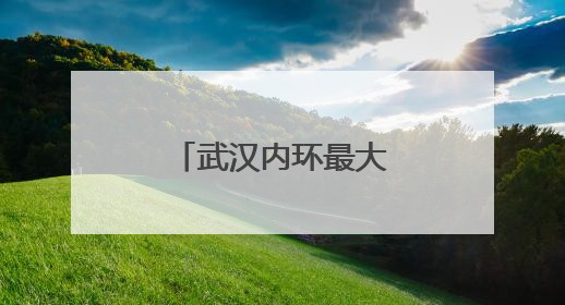 武汉内环最大！汉阳这片6月顶流花海开了