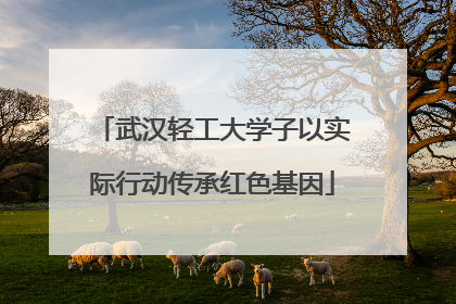 武汉轻工大学子以实际行动传承红色基因