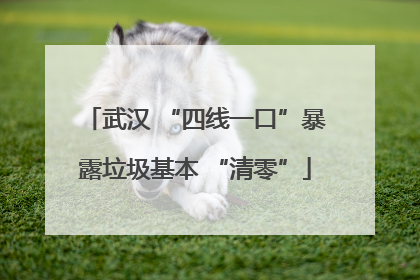 武汉 “四线一口”暴露垃圾基本 “清零”