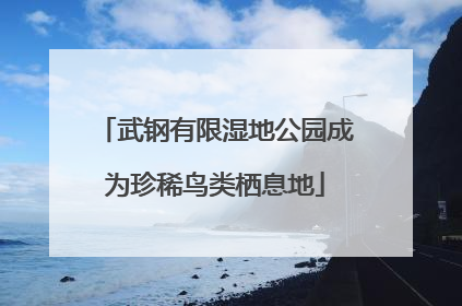 武钢有限湿地公园成为珍稀鸟类栖息地