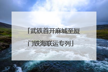武铁首开麻城至厦门铁海联运专列