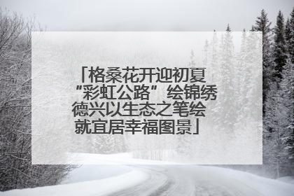 格桑花开迎初夏 “彩虹公路”绘锦绣 德兴以生态之笔绘就宜居幸福图景