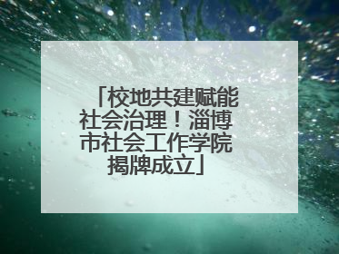 校地共建赋能社会治理！淄博市社会工作学院揭牌成立