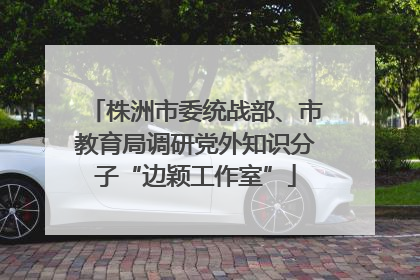 株洲市委统战部、市教育局调研党外知识分子“边颖工作室”