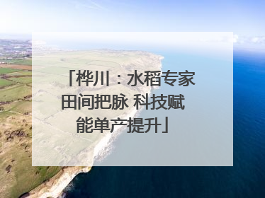 桦川：水稻专家田间把脉 科技赋能单产提升