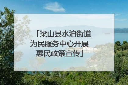 梁山县水泊街道为民服务中心开展惠民政策宣传
