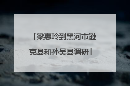 梁惠玲到黑河市逊克县和孙吴县调研