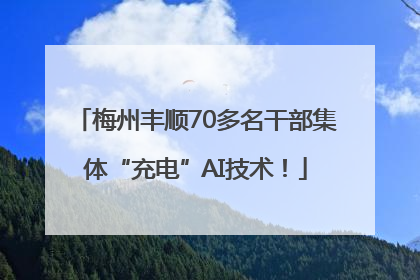 梅州丰顺70多名干部集体“充电”AI技术！