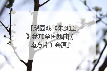 梨园戏《朱买臣》参加全国戏曲（南方片）会演
