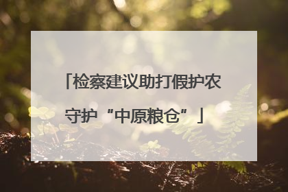 检察建议助打假护农守护“中原粮仓”