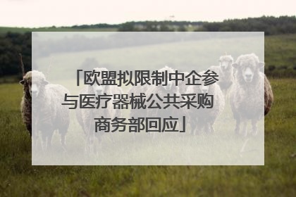 欧盟拟限制中企参与医疗器械公共采购 商务部回应