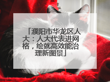 濮阳市华龙区人大：人大代表进网格，绘就高效能治理新图景