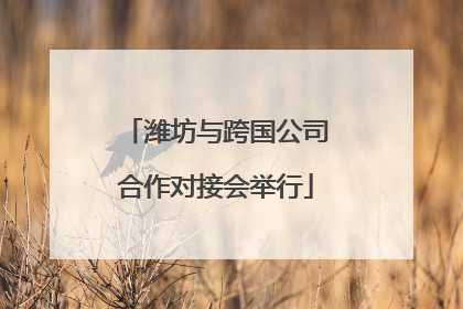 潍坊与跨国公司合作对接会举行