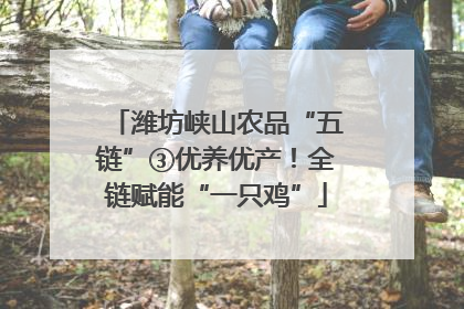 潍坊峡山农品“五链”③优养优产！全链赋能“一只鸡”