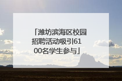 潍坊滨海区校园招聘活动吸引6100名学生参与