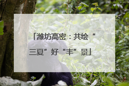 潍坊高密：共绘“三夏”好“丰”景