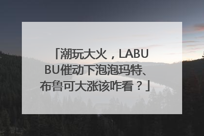 潮玩大火，LABUBU催动下泡泡玛特、布鲁可大涨该咋看？