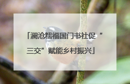 澜沧糯福国门书社促“三交”赋能乡村振兴