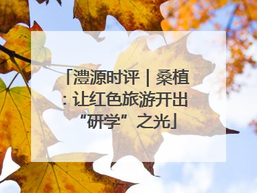 澧源时评｜桑植：让红色旅游开出“研学”之光