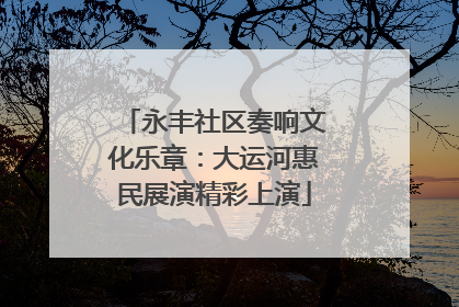 永丰社区奏响文化乐章：大运河惠民展演精彩上演